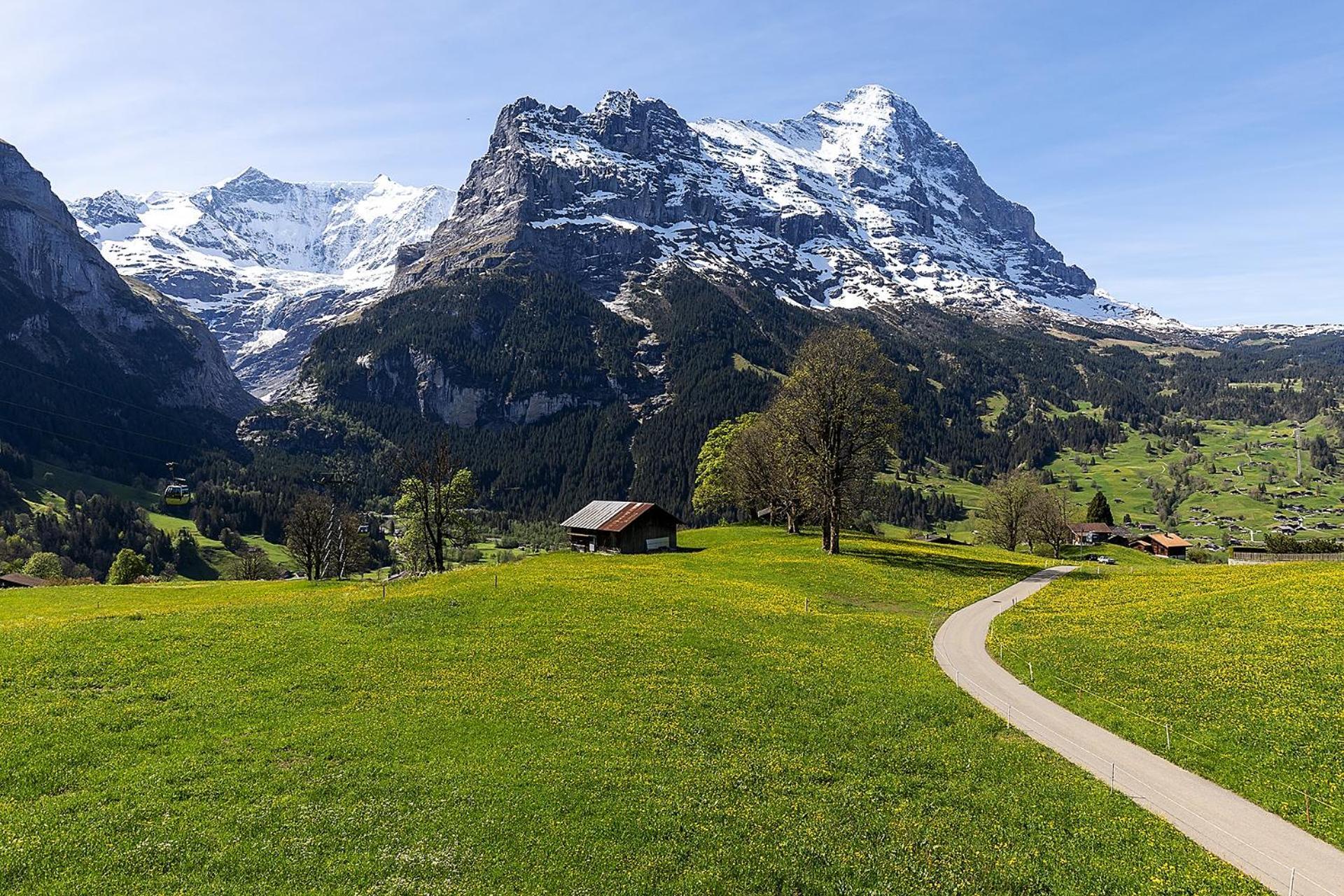 Hotel Bodmi Grindelwald Exterior foto