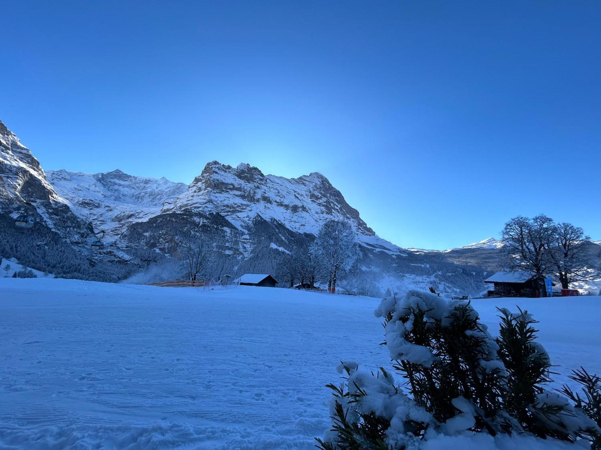 Hotel Bodmi Grindelwald Exterior foto