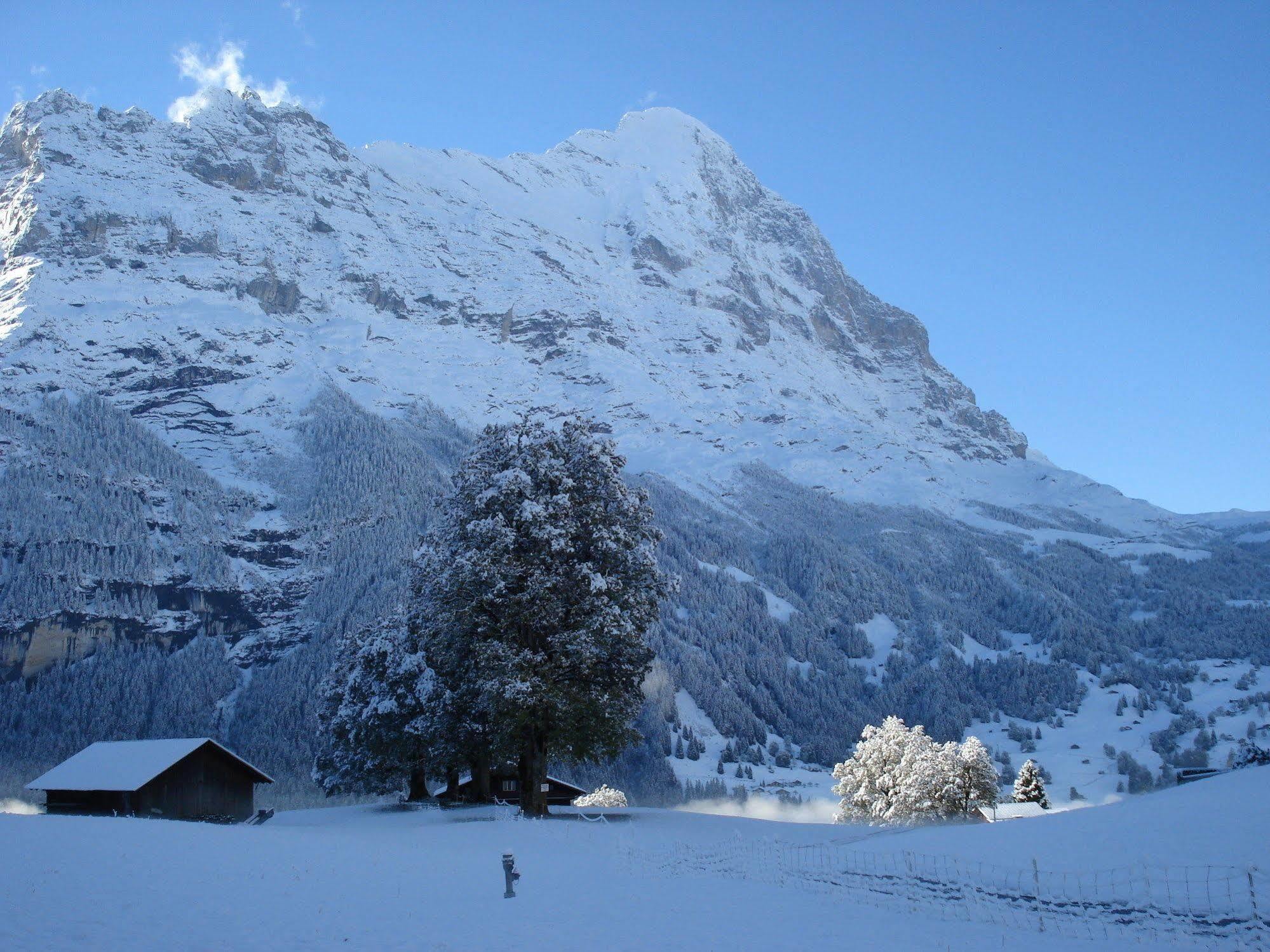 Hotel Bodmi Grindelwald Exterior foto